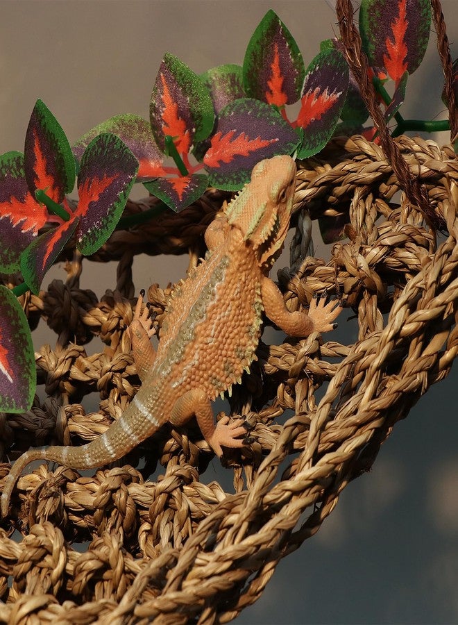 AQUA KT Reptile Lounger Lizard Bearded Dragon Snake Climbing Hammock for Reptile Bedding Amphibian Habitat Decoration, Made of Seagrass - Image 4
